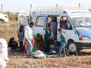 Tarlada Kalan Pamuk Atıkları Geçim Kaynağı Oldu