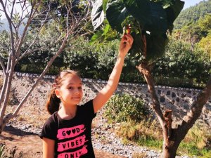 Dutlar Mevsimi Şaşırdı