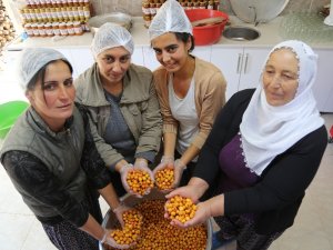 Köyde Kadınlar İmalathane Kurdu, Doğal Meyvelerle Üretime Başladı
