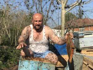 ‘Arılar Beni Tanır’ Dedi, Yarı Çıplak Peteklerin Arasına Daldı