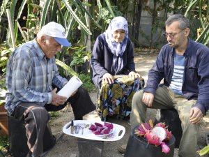 Bahçede Kilosu, Tezgahta Tanesi 30 Lira