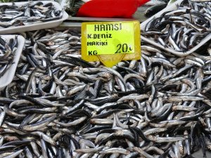 Karadeniz Hamsisinin Kilogram Fiyatında Düşüş Sürüyor