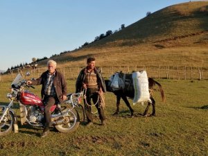 Karadeniz Yaylalarında Yaz Havası Yaşanıyor