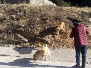 Özel İdare Çalışanlarından Örnek Davranış