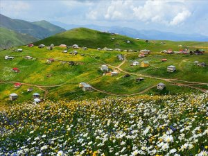 Trabzon'daki Barma Yaylası Turbalığı 'kesin korunacak hassas alan' ilan edildi
