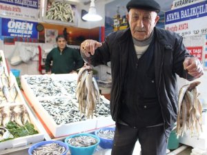 Mezgit Fiyatı Rekora Koşuyor