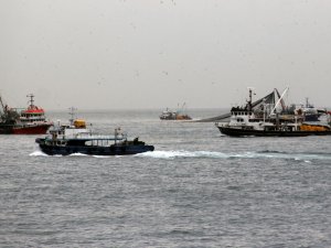Giresun Açıklarına Akın Eden Balıkçı Tekneleri Görsel Şölen Oluşturdu