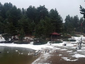 Limni Gölü’nde Kar Yağışı Başladı