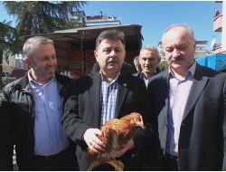 Ziraat Odası Yumurta Tavuğu Dağıttı