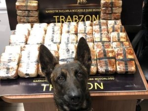 Trabzon’da 26,6 Kilogram Eroin Ele Geçirildi