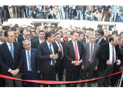Bakan Çelik, Ceylanpınar İlçesinde Açılışlara Katıldı