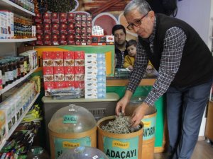 Aktarlar Kış Mevsiminde Daha Yoğun