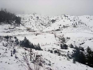 Kar Giresun’un İç Kesimlerinde Etkili Oluyor