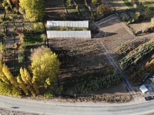 Sular Altında Kalacak 151 Yıllık İlçenin Yeni Yerleşim Yeri İçin 30 Bin Meyve Fidanı Koruma Altına Alındı