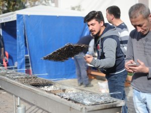 Giresun’da 3 Bin Üniversite Öğrencisi Hamsi Festivalinde Buluştu