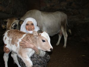 Cemile Teyzenin Mutluluk Fotoğrafı