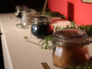 Japonya’da Sıra Dışı Koku Sergisi