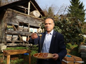 Kestane Balı Tam Bir Şifa Deposu