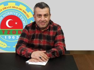 Giresun’un Fındık Yetişmeyen İlçelerinde Ceviz Geçim Kaynağı Oldu