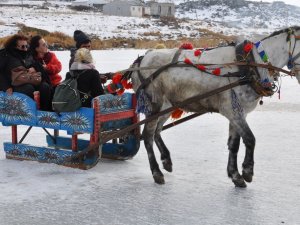 Atlı Kızaklar Çıldır Gölü’ne İndi