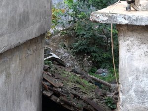 Tarihi Hamam Binaların Arasında Kaderine Terk Edildi