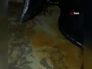 İdlib’teki Kampları Sel Vurdu