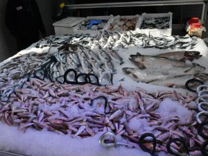 Hamsinin Göç Etmesiyle Tezgahlar İstavrit Ve Mezgite Kaldı