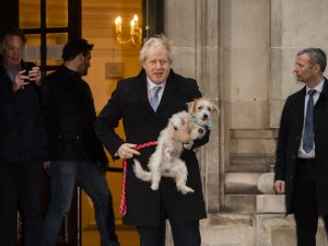 Boris Johnson, Köpeğiyle Sandık Başında
