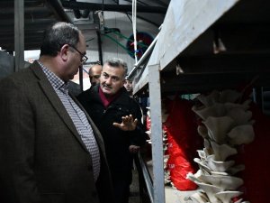 Besin Değeri Etle Yarışıyor Kilosu İse Sadece 15 Lira