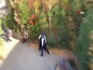 Tokyo’da Yaban Domuzu Paniği