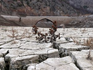 Torul Baraj Gölünde Su Seviyesi 40 Metre Çekildi