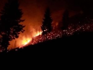 Trabzon’da Çıkan Orman Yangınları İle İlgili Valilik’ten Açıklama Yapıldı