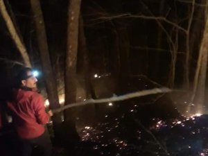 Artvin’de Orman Yangını