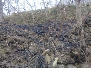 Yangının Bilançosu Gün Ağırınca Ortaya Çıktı