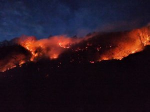 Ordu Valiliğinden ’Yangın’ Açıklaması