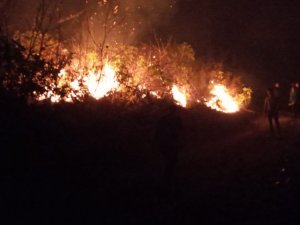 Trabzon’un Dernekpazarı İlçesi Akköse Mahallesinde De Yeni Örtü Yangını Başladı