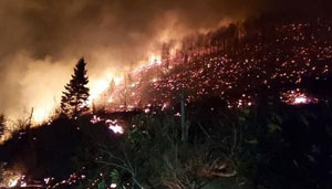 İçişleri Bakanlığı: Karadeniz'deki Yangınlarda Terör İzine Rastlanmamıştır