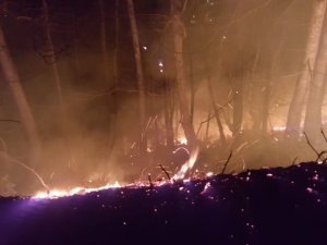 Ordu’daki Orman Yangınlarına Müdahale Sürüyor