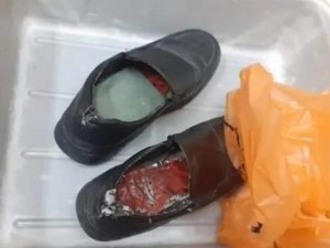 Ürdün’de Ayakkabılara Gizlenmiş 8 Nadir Kuş Bulundu