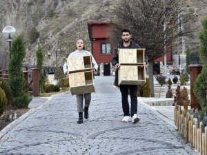 "Kediler Üşümesin" Diye Kedi Evleri Yapıp Tüm Şehri Donattılar