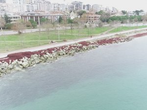 Caddebostan Sahili Kızıla Büründü