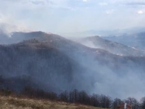 Trabzon’un Dernekpazarı İlçesindeki Örtü Yangınları Devam Ediyor