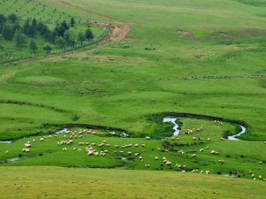 Arap Turistlerin Karadeniz’deki Yatırımları Giderek Artıyor