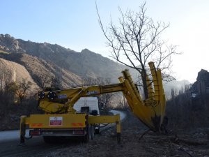 Yeni Yusufeli’ne İlk Meyve Ağaçları Taşındı