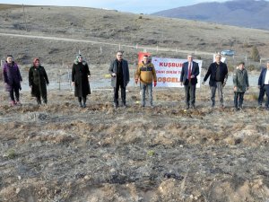 Gümüşhane’nin İlk Kapama Kuşburnu Bahçesi Kelkit’e Kuruldu