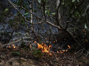 Giresun’da Çıkan 15 Örtü Yangınının 5’inin İnsan Kaynaklı Olduğu Belirlendi