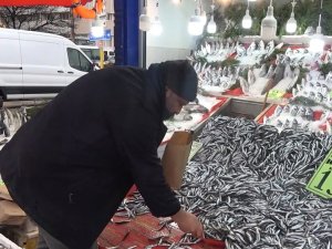 Hamsi Rusya Ve Gürcistan’a Kaçtı, Vatandaşlar Buzhane Balığı Tüketiyor