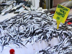 Hamsinin Kulağına Kar Suyu Kaçtı