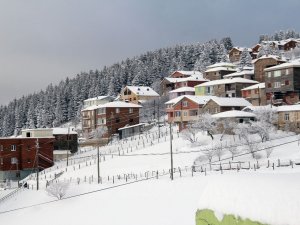 Giresun Yaylalarında Kar Keyfi