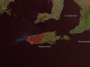 Kanguru Adası’nın Üçte Biri Yandı